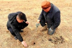 <b>那么它可能是正在AI编撰这个故事的傍边</b> 