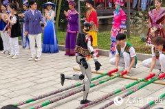 TOTO（飞兔兔）是广西出书传媒集团自从研发的 